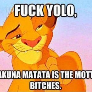 Meet your Posher, Dillon